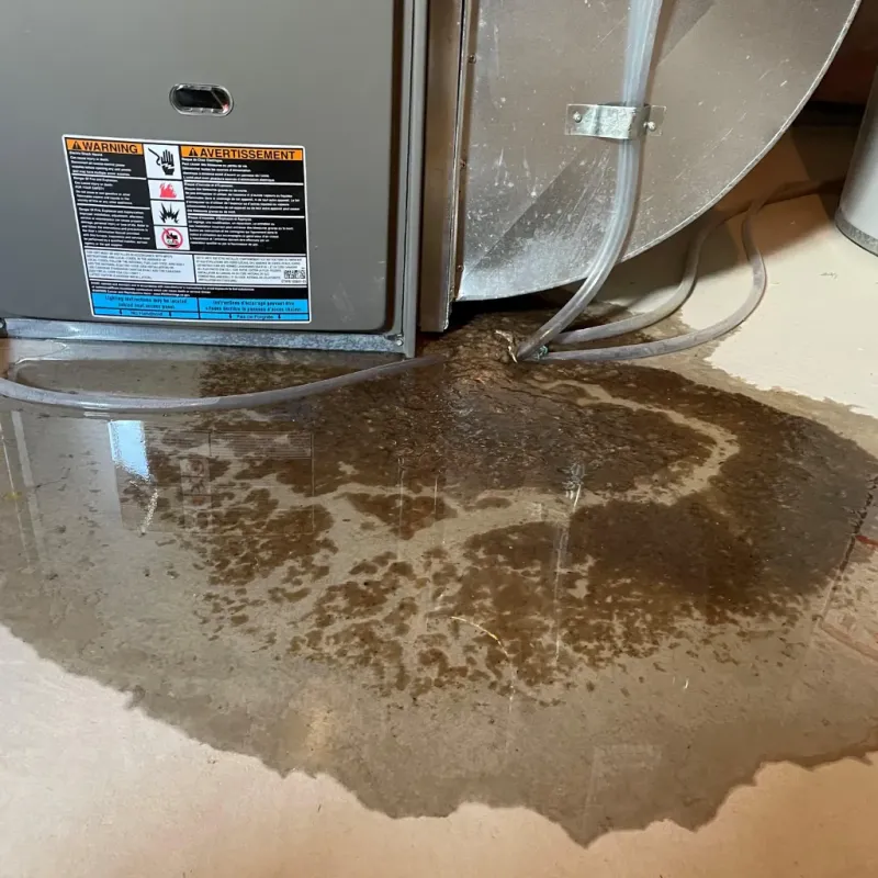 Appliance Leak Cleanup in Montclair, NJ